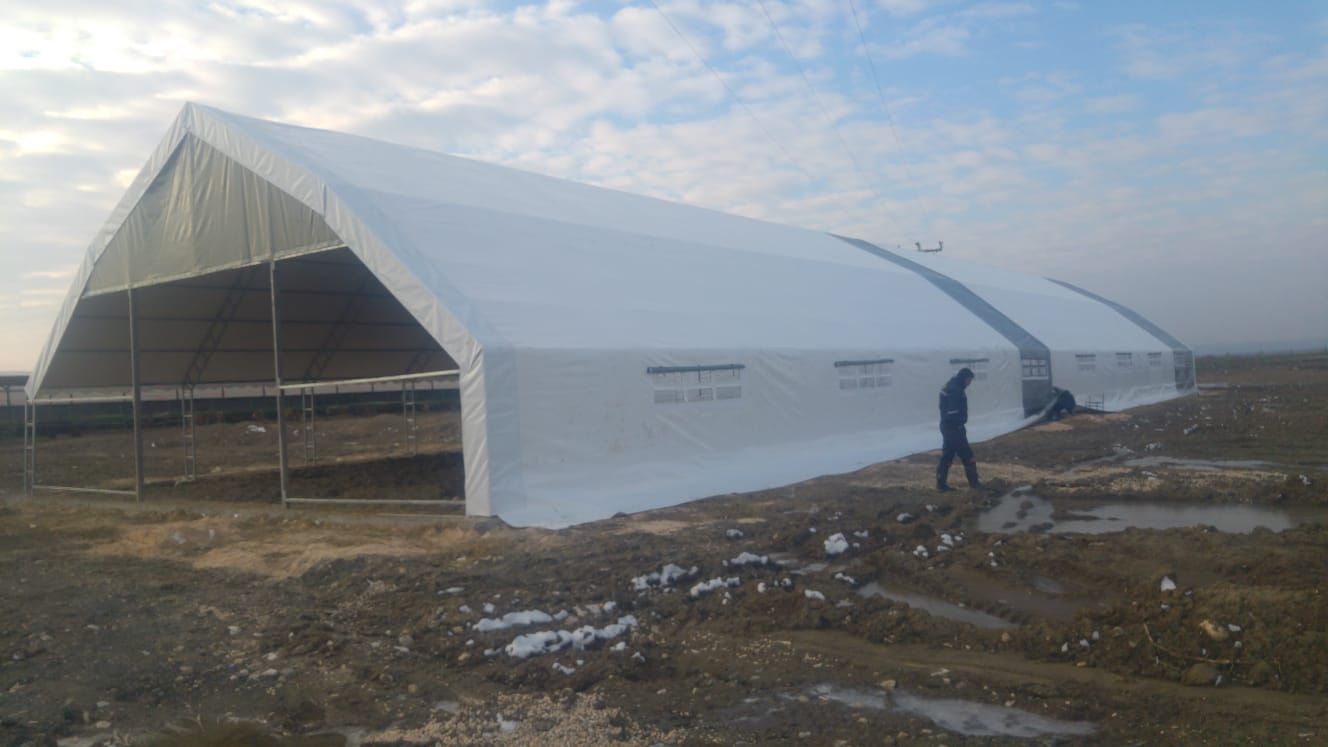 5 - угловые, вертикальные модели палаток